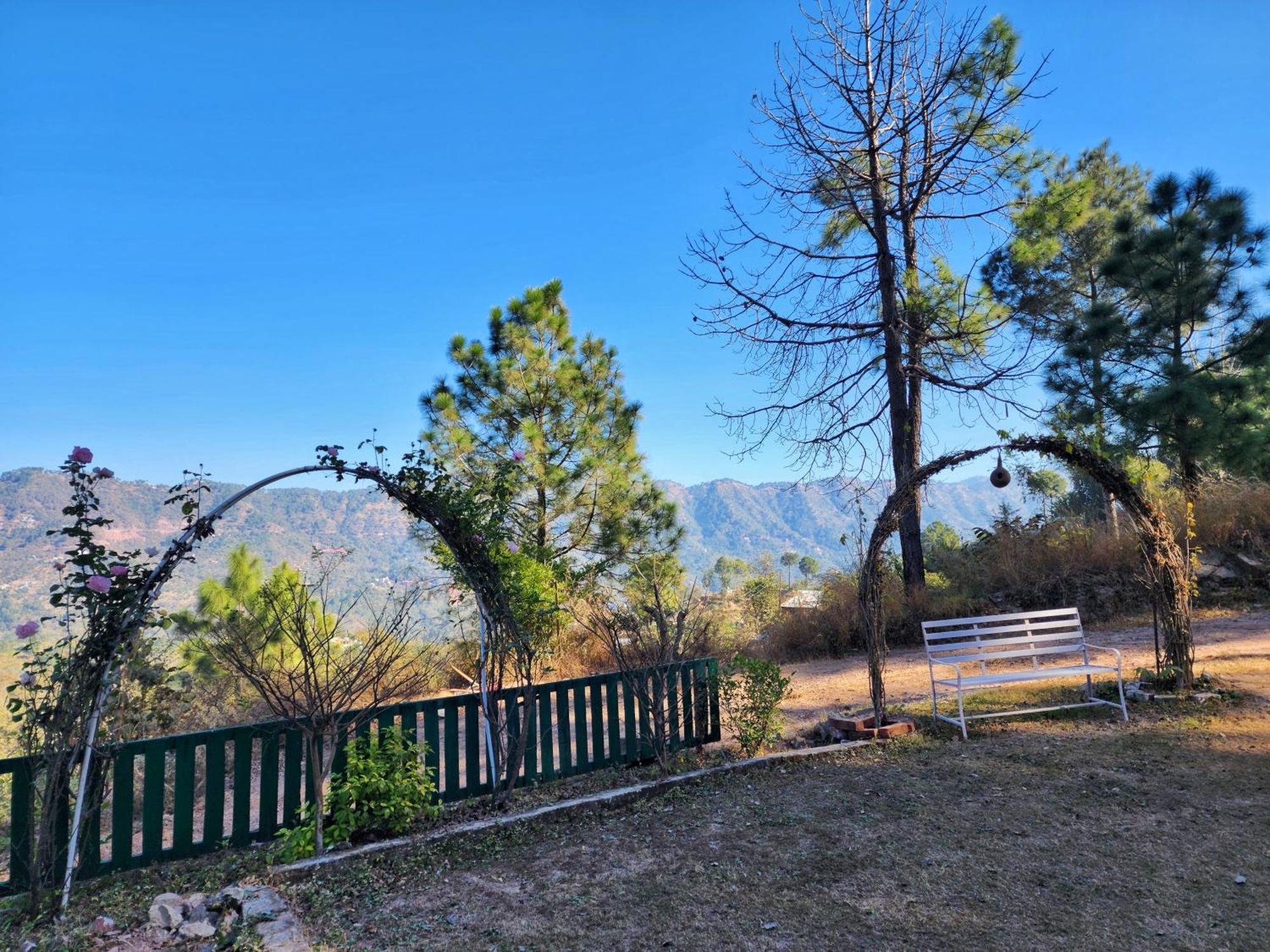 Pine Valley Resort Kasauli Exterior photo