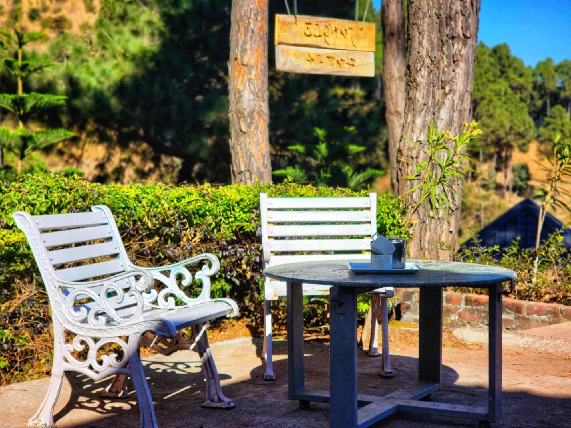 Pine Valley Resort Kasauli Exterior photo